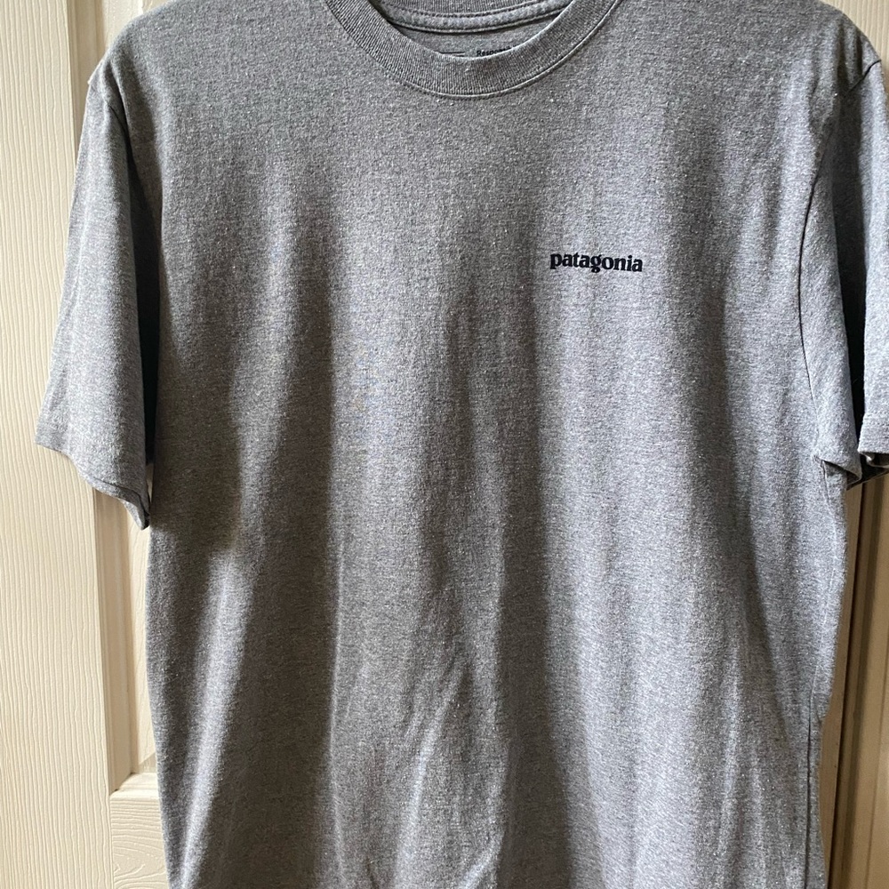 Men’s Patagonia TShirt- Gray